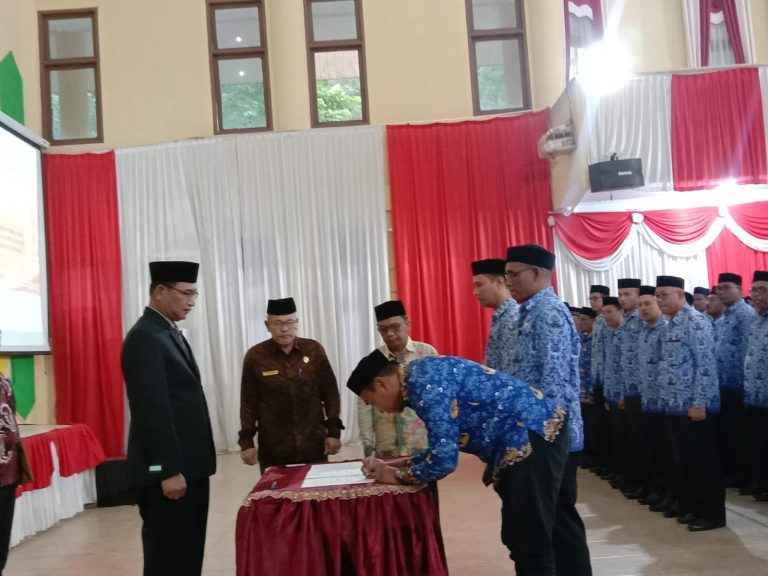 ls-img